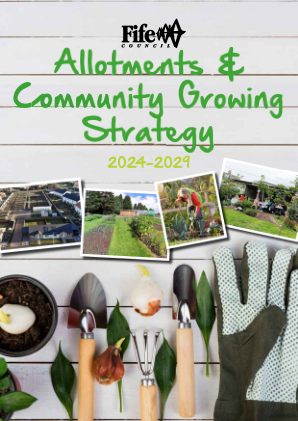 2024 - 2029 年分配和社区发展战略